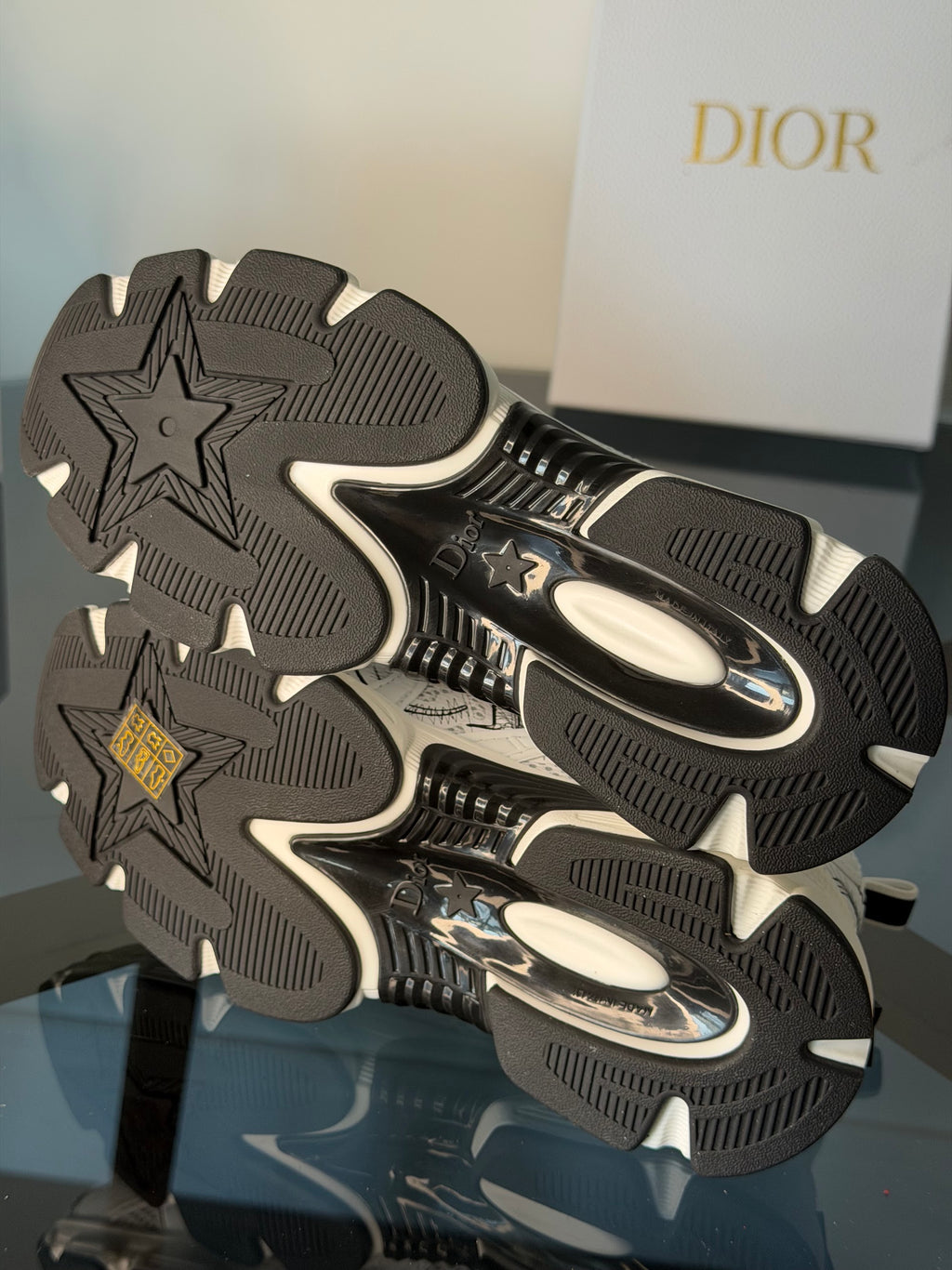 Dior Sneakers - White / Black